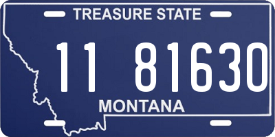 MT license plate 118163O
