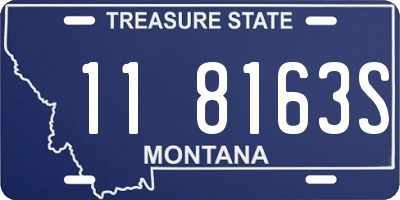 MT license plate 118163S