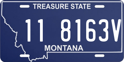MT license plate 118163V