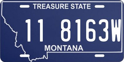 MT license plate 118163W
