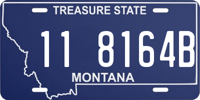 MT license plate 118164B