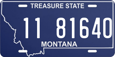 MT license plate 118164O