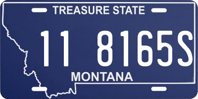 MT license plate 118165S