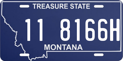 MT license plate 118166H