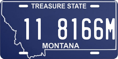 MT license plate 118166M