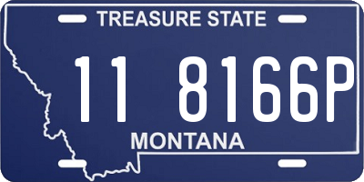 MT license plate 118166P