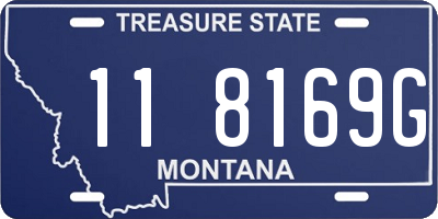 MT license plate 118169G
