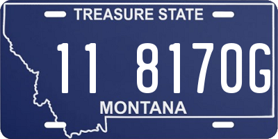 MT license plate 118170G