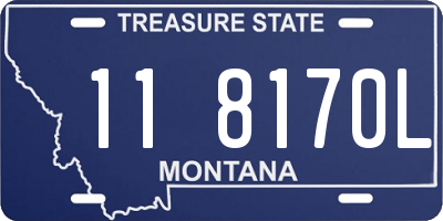 MT license plate 118170L