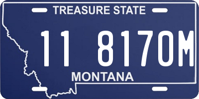 MT license plate 118170M