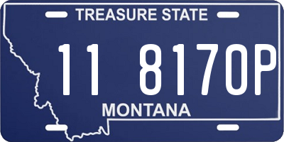MT license plate 118170P