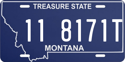 MT license plate 118171T