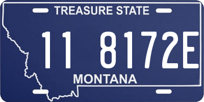 MT license plate 118172E