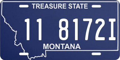 MT license plate 118172I