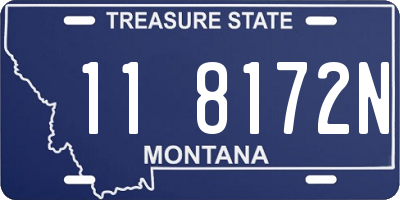 MT license plate 118172N