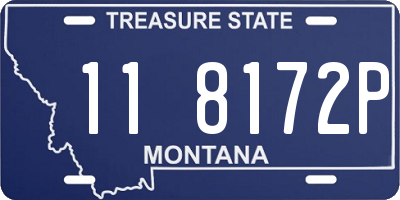 MT license plate 118172P