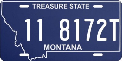 MT license plate 118172T