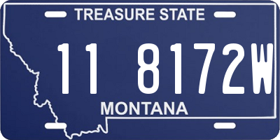 MT license plate 118172W