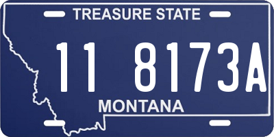 MT license plate 118173A