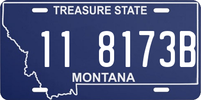 MT license plate 118173B