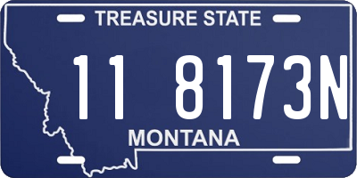 MT license plate 118173N