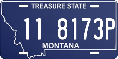 MT license plate 118173P