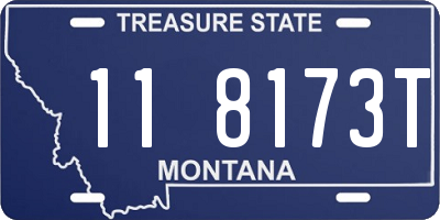MT license plate 118173T