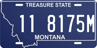 MT license plate 118175M