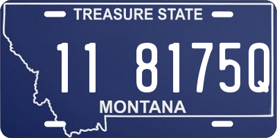 MT license plate 118175Q