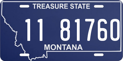 MT license plate 118176O