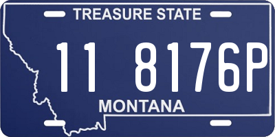 MT license plate 118176P