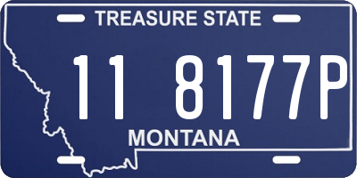 MT license plate 118177P