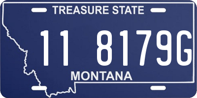 MT license plate 118179G