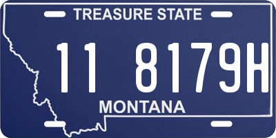 MT license plate 118179H