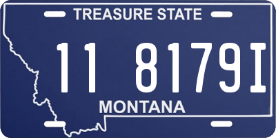 MT license plate 118179I