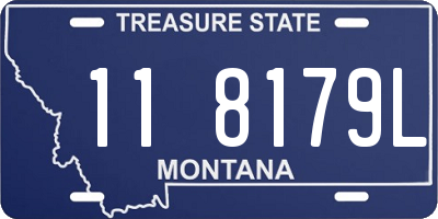 MT license plate 118179L