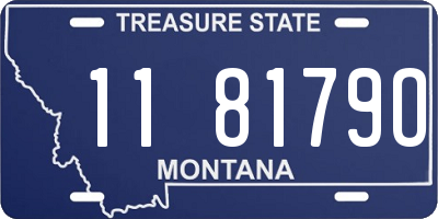 MT license plate 118179O