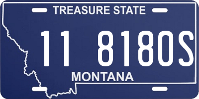 MT license plate 118180S