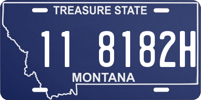 MT license plate 118182H