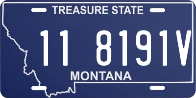 MT license plate 118191V