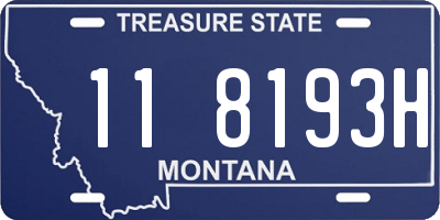 MT license plate 118193H