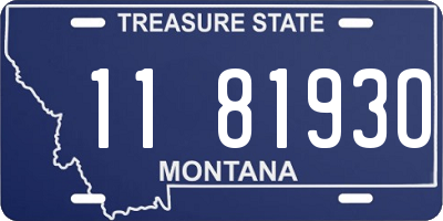 MT license plate 118193O