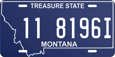 MT license plate 118196I