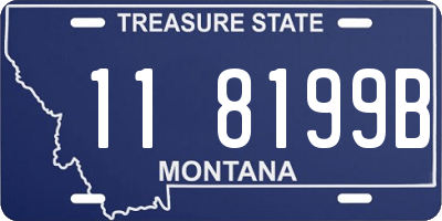 MT license plate 118199B