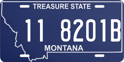 MT license plate 118201B