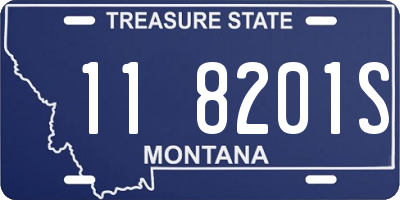 MT license plate 118201S