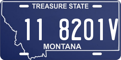 MT license plate 118201V