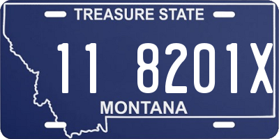 MT license plate 118201X