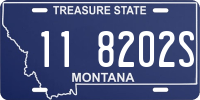MT license plate 118202S