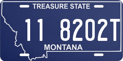 MT license plate 118202T